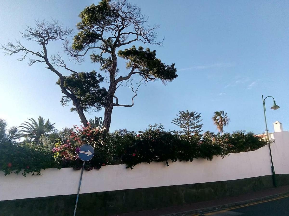 Apartmán Canico Gardensea Exteriér fotografie