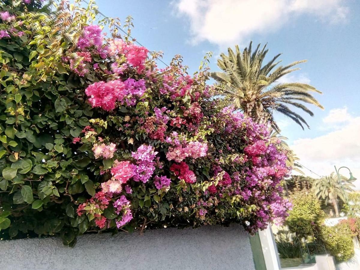 Apartmán Canico Gardensea Exteriér fotografie